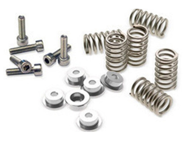 Stainless Steel Springs